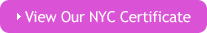 NYC WBE